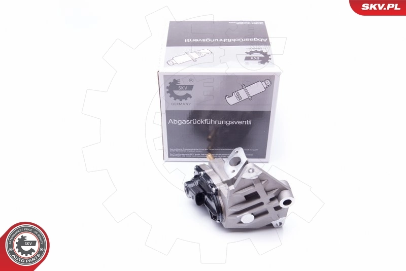 EGR Valve
